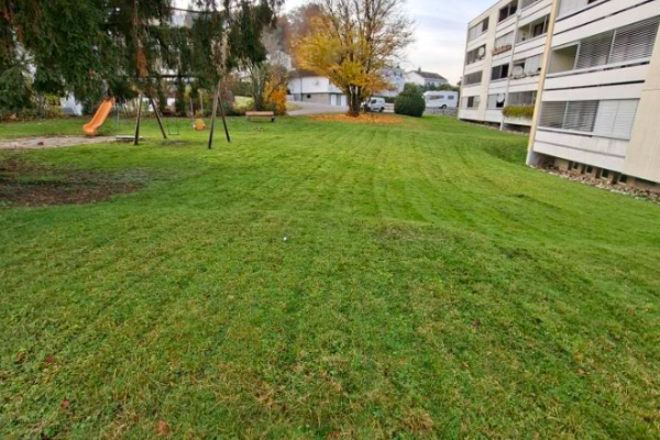 Screenshot 2025-12-09 004256 hauswartung